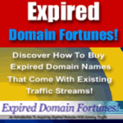 Product picture Expired Domain Fortunes, money from expired domain names